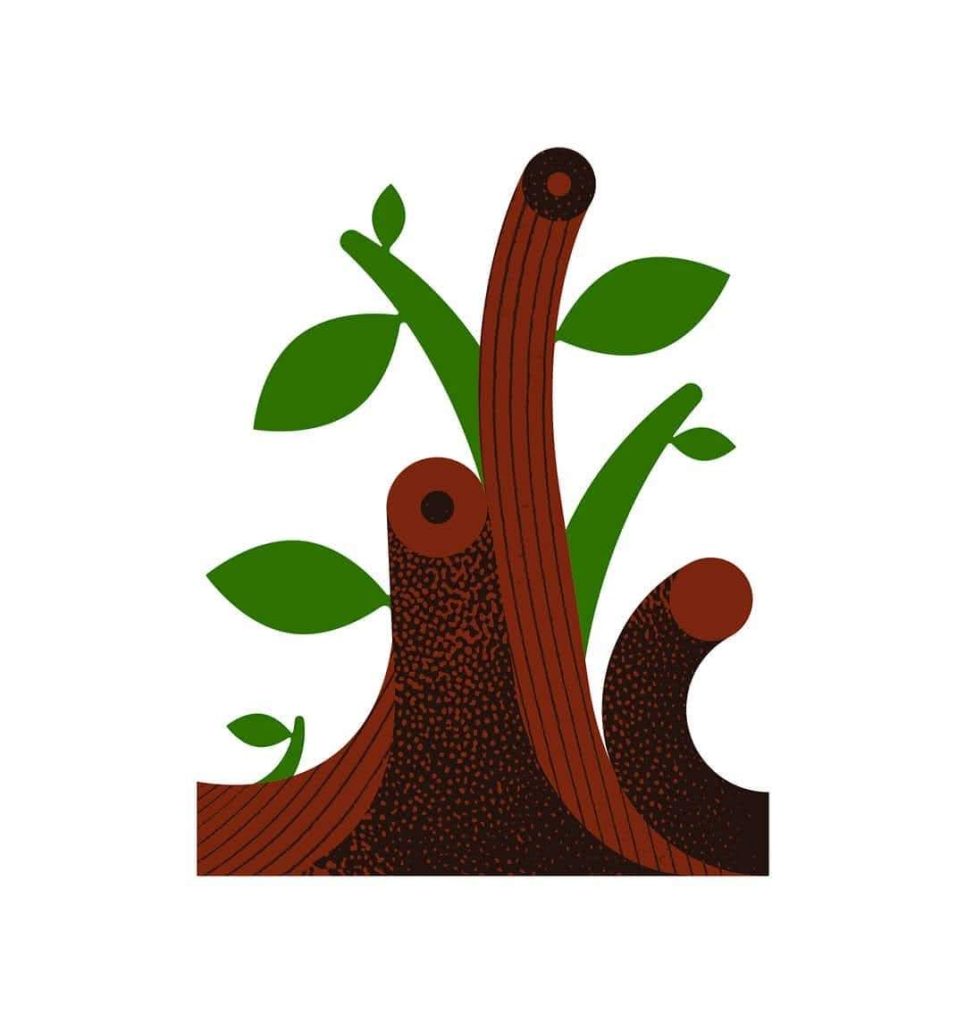 Image of 'Regrowth' by Andrea Manzati, illustrating the rejuvenation of wood in spring with new leaves and vibrant growth